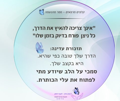 הדרכת הורים למתבגרים, הדרכת הורים, הפרעת קשב וריכוז , נטע שיין, טיפול בטראומות בעזרת תנועות עיניים, תנועות עיניים, קשב, ריכוז, לקויות למידה, טיפול טבעי,EMTS